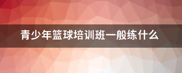 青少年篮球教学训练指导手册内容摘要